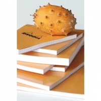 [�ε��]������ �޸��е� 80g (��� ��������)/ NO.11(A7)